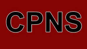 Pendaftar CPNS 2024 Harus Memenuhi Syarat Ini