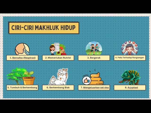 Contoh Soal dan Kunci Jawaban tentang Ciri-ciri Makhluk Hidup untuk SD Kelas 3