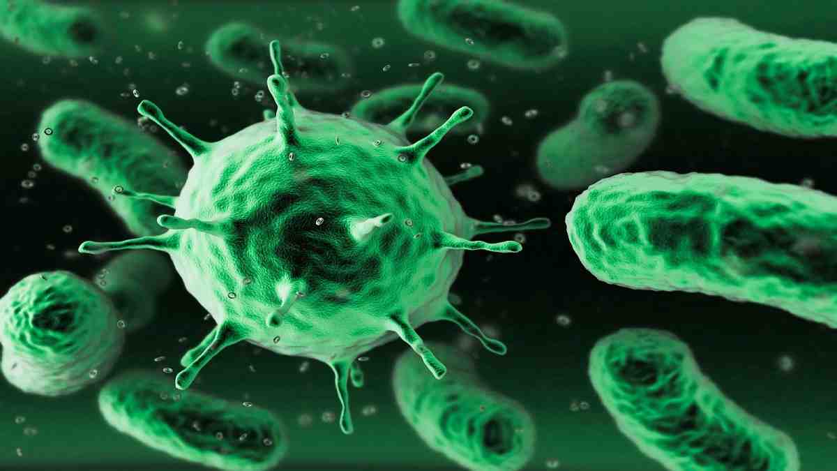 Reproduksi Virus, Ciri-ciri Monera, dan Klasifikasi Monera