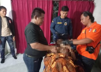 Petir Mengambil Nyawa Warga Pringsewu Saat Merumput