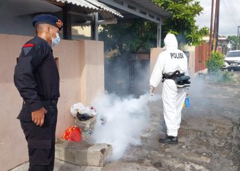 Antisipasi DBD: Kapolda Lampung Dorong Masyarakat Manfaatkan Layanan Fogging Satbrimob