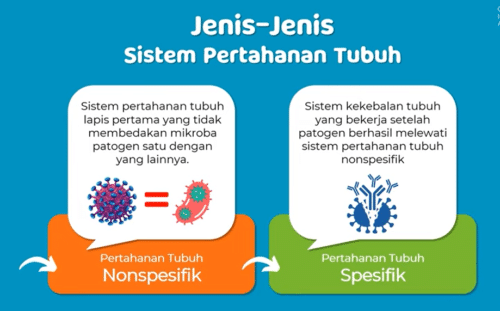 Sistem Pertahanan Tubuh Spesifik: Contoh Soal dan Kunci Jawaban untuk SMK Kelas 11