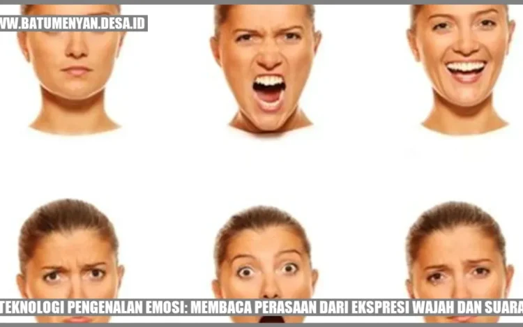 Sistem Pengenalan Emosi Otomatis
