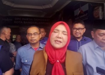 Perhatikan! Ini Syarat Pendataan BKN 2024 untuk Tenaga Honorer