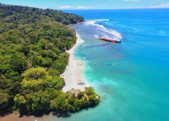 8 Akun FF Sultan Terbaru Gratis Tersedia untuk Digunakan Hari Ini