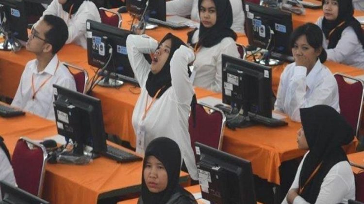 Perhatikan! Ini Syarat Pendataan BKN 2024 untuk Tenaga Honorer