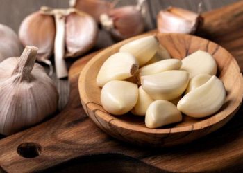 Menanam Bawang Putih di Rumah: Cara Mudah dan Menguntungkan