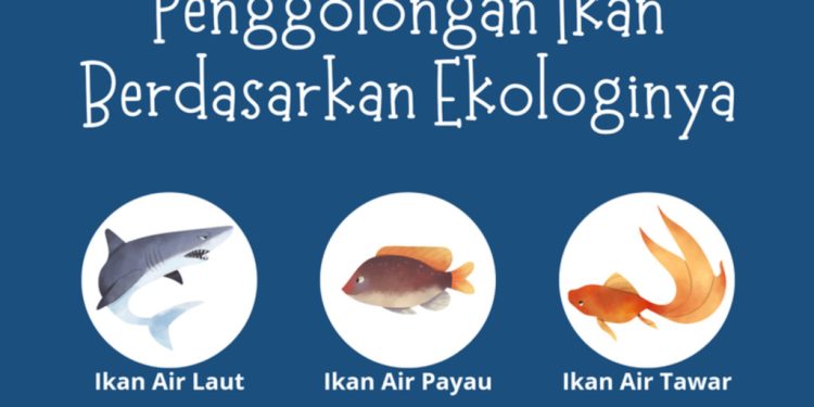 Jelajahi Keanekaragaman Ekosistem Perairan: Contoh Soal dan Kunci Jawaban untuk SMK Agrobisnis Kelas X