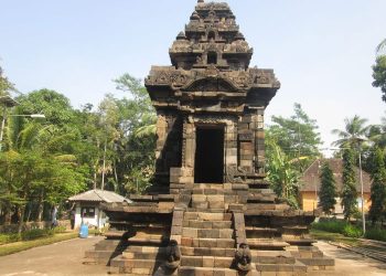 Melihat Langsung Kawasan Konservasi Hutan di Cagar Alam Pananjung
