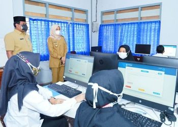 Perhatikan! Ini Syarat Pendataan BKN 2024 untuk Tenaga Honorer