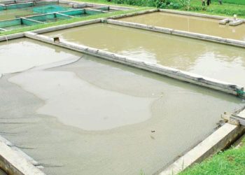 Contoh Soal dan Kunci Jawaban untuk SMK Jurusan Agrobisnis Kelas X tentang Metode Pembesaran Ikan di Kolam, Keramba, dan Tambak