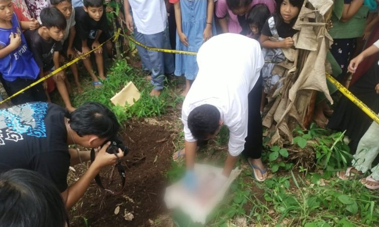 Penemuan Mayat Bayi Membuat Geger di Tanggamus