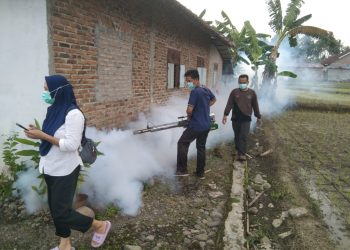 Fogging di Pekon Kota Batu: Upaya Bersama Tanggulangi DBD