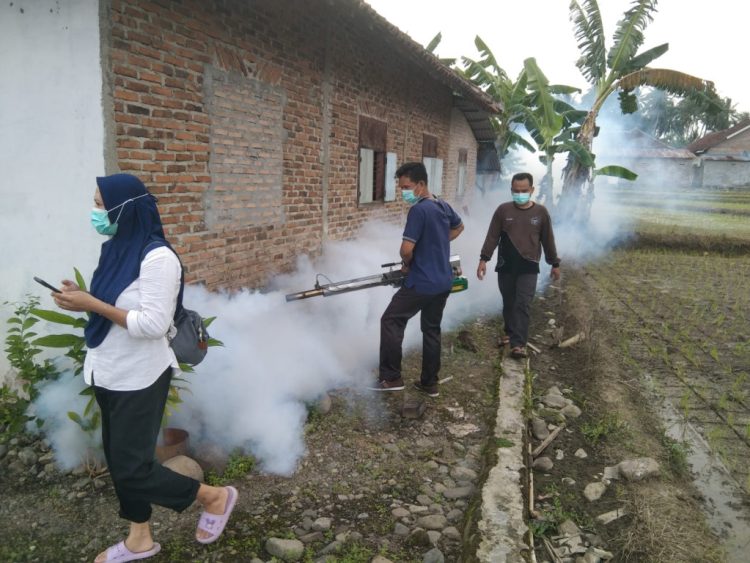 Fogging di Pekon Kota Batu: Upaya Bersama Tanggulangi DBD
