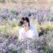 Album Terbaru “Wild Flower” Milik Leader BTS, RM, Raih 100 Juta Views di YouTube