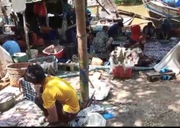 Pencemaran Limbah Ancam Lingkungan Masyarakat Dusun Sukorahayu, Lampung Timur