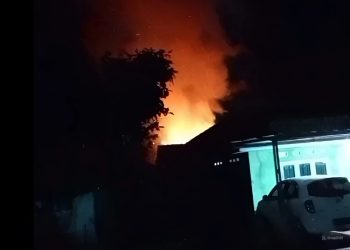 Kandang Ayam di Pringsewu Terbakar, Kerugian Capai Belasan Juta Rupiah