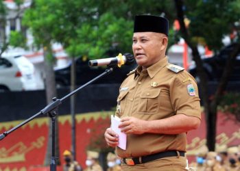 Perhatikan! Ini Syarat Pendataan BKN 2024 untuk Tenaga Honorer