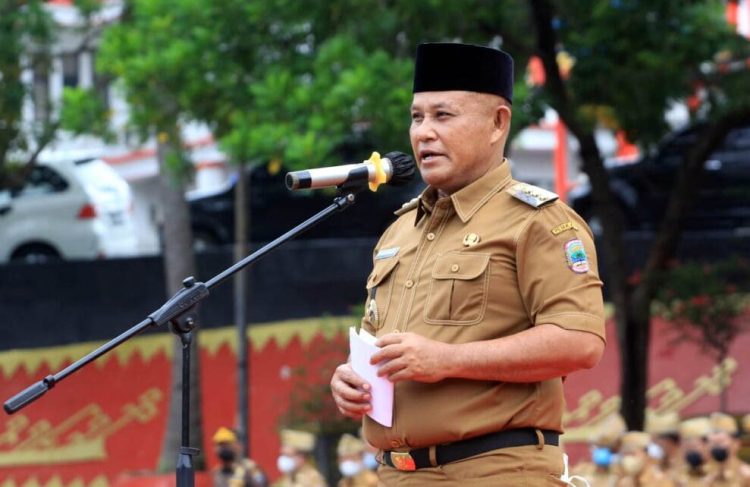 Perhatikan! Ini Syarat Pendataan BKN 2024 untuk Tenaga Honorer