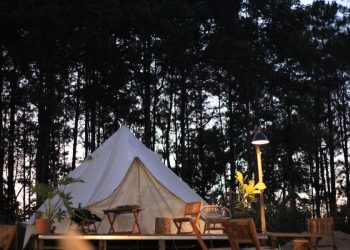 DIY Culture: Memberdayakan Kreativitas dan Kemandirian dalam Pilihan Gaya Hidup