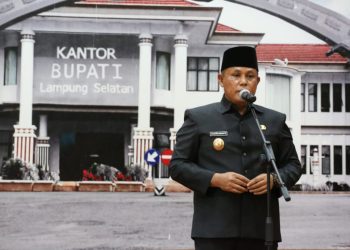 Jalan Terjal Nanang Ermanto di Pilkada Lamsel 2024