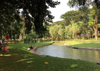 Menelusuri Keajaiban Taman Wisata Alam Mangrove Angke Kapuk