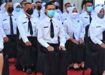 Pengumuman: Fresh Graduate Tidak Diperkenankan Mengikuti Seleksi Formasi Ini