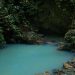 Melihat Langsung Kawasan Konservasi Hutan di Cagar Alam Pananjung