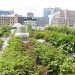 Urban Gardening: Membawa Alam ke dalam Gaya Hidup Perkotaan Anda