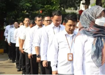 Tenaga Honorer Wajib Tahu! Cek Status Verifikasi BKN untuk PPPK 2024