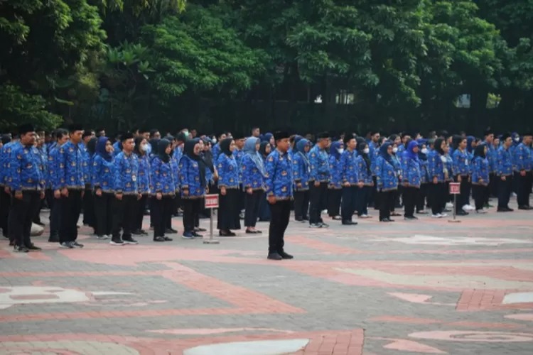 Kesalahan yang Perlu Diwaspadai agar Pendaftar CPNS 2024 Lolos Seleksi