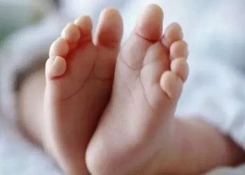 Tidak Ada Rencana PPN untuk Biaya Persalinan, Klarifikasi dari Dirjen Pajak