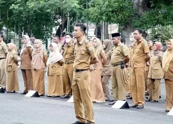 Ini Penjelasan PPPK Paruh Waktu yang Ditujukan untuk Honorer yang Tak Lolos Seleksi PPPK 2024