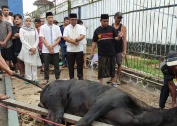 Rutan Sukadana Lakukan Pemotongan Hewan Qurban pada Idul Adha 1445H