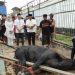 Rutan Sukadana Lakukan Pemotongan Hewan Qurban pada Idul Adha 1445H
