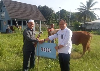 ASDP Salurkan Bantuan Kurban 20 Sapi dan 100 Kambing di Idul Adha 1445 Hijriah
