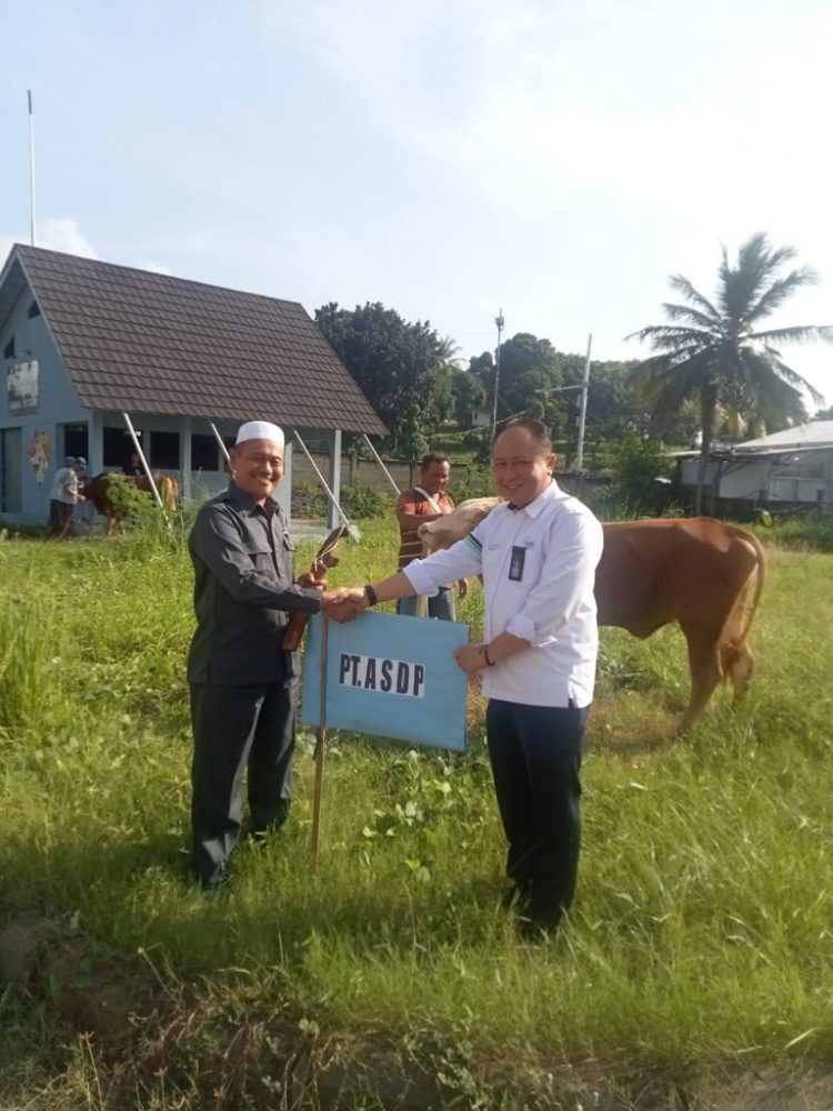 ASDP Salurkan Bantuan Kurban 20 Sapi dan 100 Kambing di Idul Adha 1445 Hijriah