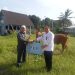 ASDP Salurkan Bantuan Kurban 20 Sapi dan 100 Kambing di Idul Adha 1445 Hijriah