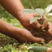 SEDANG TREN!Ini Pengertian Green Job dan 6 Jenis Pekerjaan Green Job