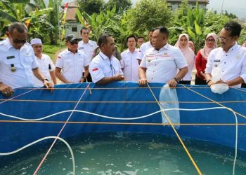 Bupati Lampung Selatan Apresiasi Budidaya Udang Vanamei di Way Muli