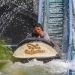 Ada Dufan, Ini 5 Rekomendasi Obyek Wisata Ramah Anak di Jakarta