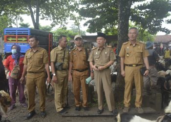 Sekda Lampung Tengah Cek Kesiapan Pasar Kambing Adi Jaya Menjelang Idul Adha