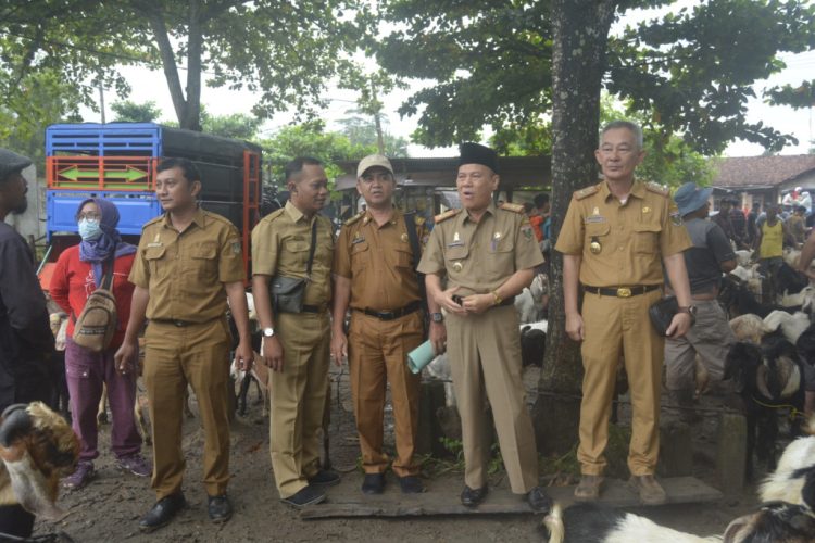 Sekda Lampung Tengah Cek Kesiapan Pasar Kambing Adi Jaya Menjelang Idul Adha