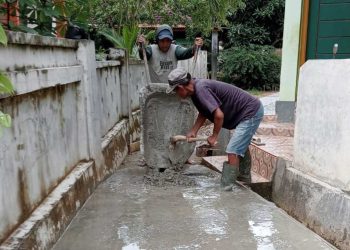 Pekon Wates Gunakan Dana Desa 2024 untuk Infrastruktur dan Pemberdayaan