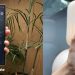 Mulai Diadopsi WhatsApp, Ini Kecanggihan Fitur Live Translate yang Diinisiasi oleh Samsung