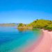 Pink Beach yang Memukau, Opsi lain Traveling ke Pulau Komodo
