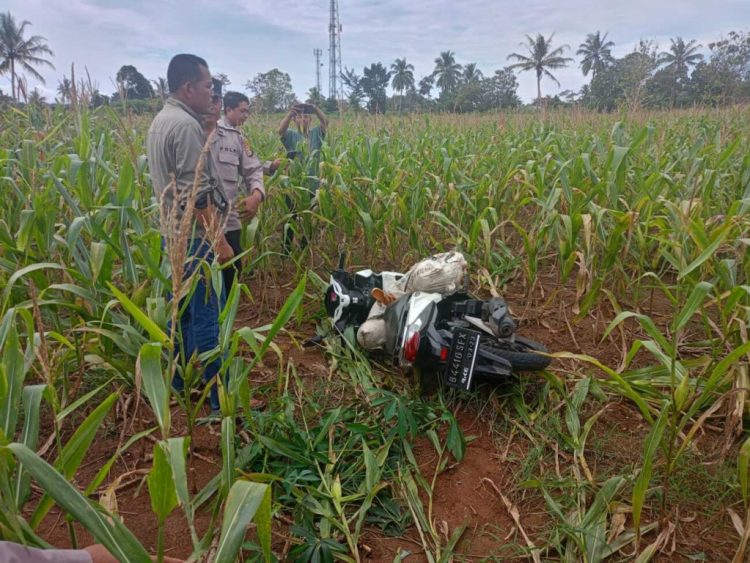 Penemuan Tragis di Lampung Timur: Mayat Perempuan Ditemukan dalam Karung di Ladang Jagung”