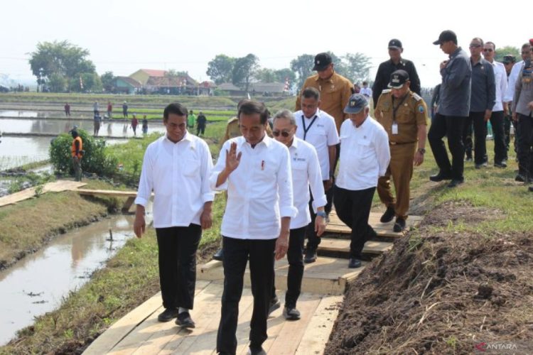 Jokowi ke Lamsel, Elektabilitas Radityo Egi Pratama Makin Moncer