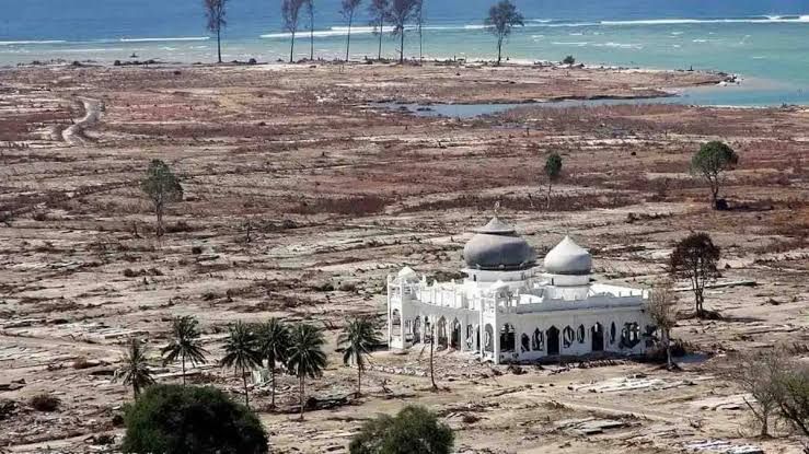 Ini 4 Bencana Paling Dahsyat yang Pernah Terjadi Sepanjang Tahun 2000-an, Salah Satunya Tsunami di Aceh