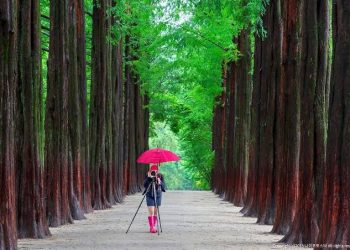 5 Obyek Wisata di Korsel ini Kerap jadi Lokasi Syuting Drama Korea Terkenal, Apa saja?